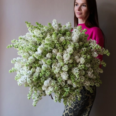 Большой букет белой сирени