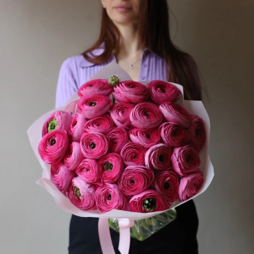 Малиновые ранункулюсы