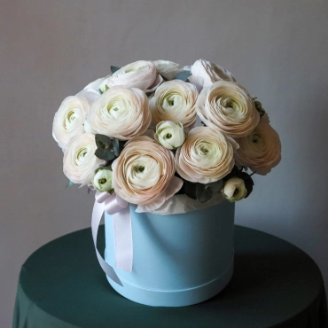 Ранункулюсы Ханой в голубой коробке