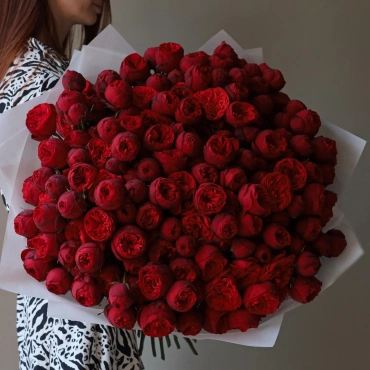 Букет роз Ред пиано 101 шт.