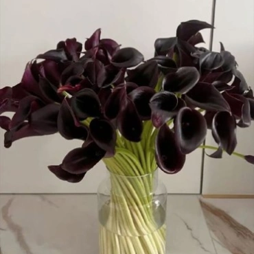 101 калла в вазе