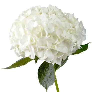 Букет всесезонный