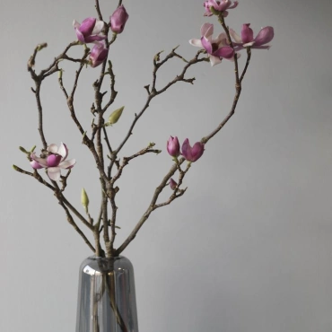 Магнолия цветущие ветки