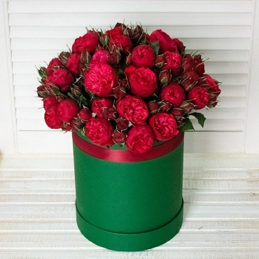 Красные пионовидные розы в коробке