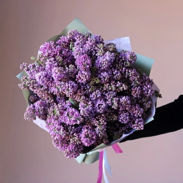 Пышная сирень