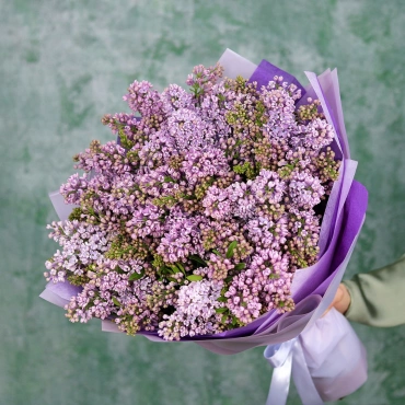 Пышная сирень