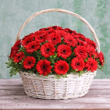 Гермини в корзине