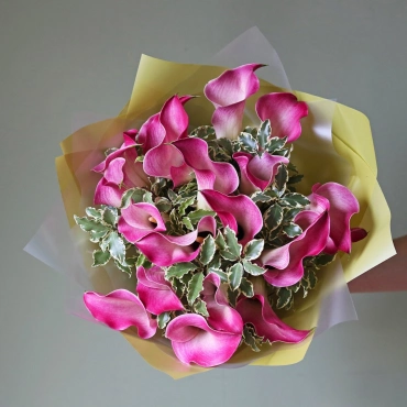 Розовые каллы