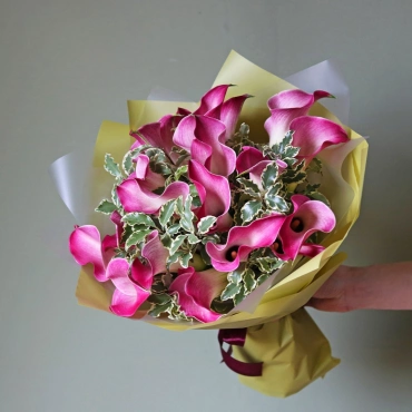 Розовые каллы