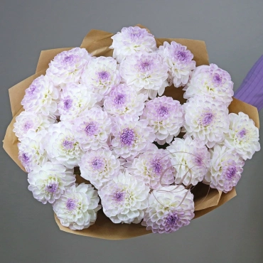 Букет георгин "Эвелин"