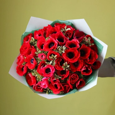 Красные анемоны