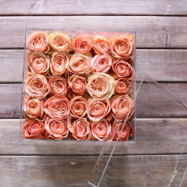 Пионовидная роза в прозрачном боксе