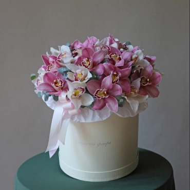 Орхидея цимбидиум в коробочке