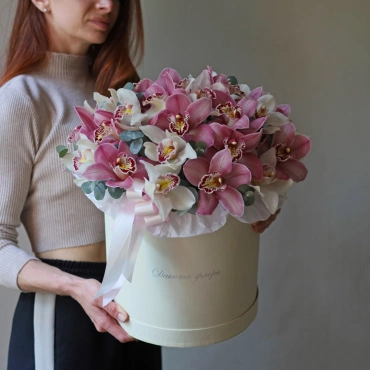 Орхидея цимбидиум в коробочке