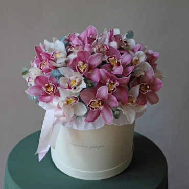 Орхидея цимбидиум в коробочке