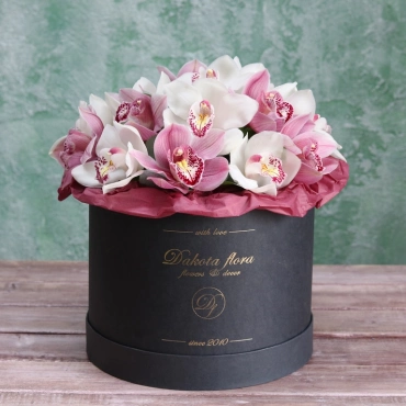 Орхидея цимбидиум в коробочке