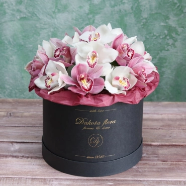 Орхидея цимбидиум в коробочке