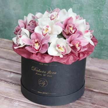 Орхидея цимбидиум в коробочке