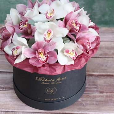 Орхидея цимбидиум в коробочке