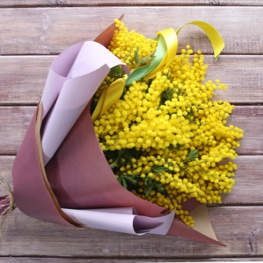 Весенняя мимоза