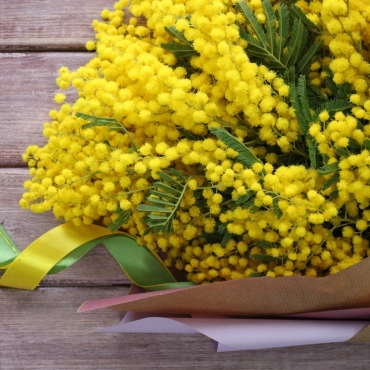 Весенняя мимоза