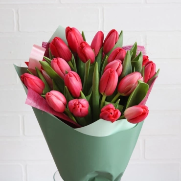 Красные тюльпаны