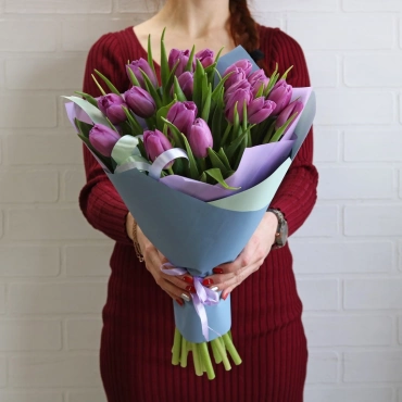 Фиолетовые тюльпаны