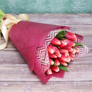 Двухцветные тюльпаны