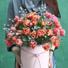 45 тюльпанов