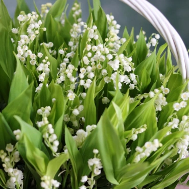 Ландыши в корзине