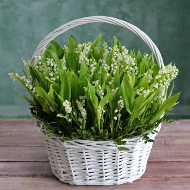 Ландыши в корзине