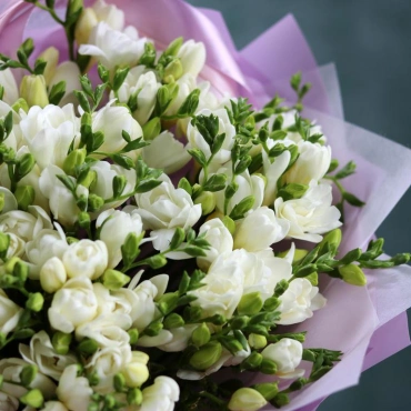 Букет из белой Фрезии