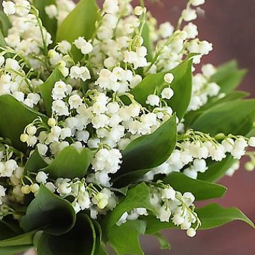 Букет из Ландышей