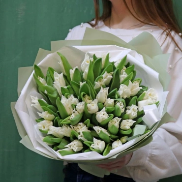 Белые тюльпаны Либерстар