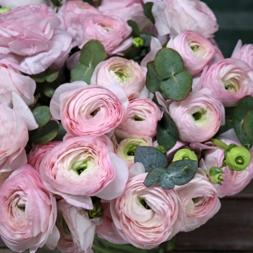 Ранункулюсы в вазе