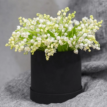 Ландыши в чёрной коробке