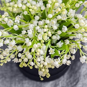 Ландыши в чёрной коробке