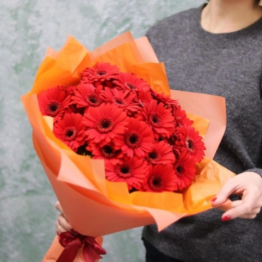 Букет из красных гермини