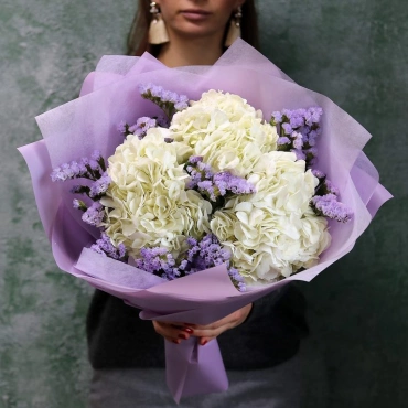 Гортензия и статица