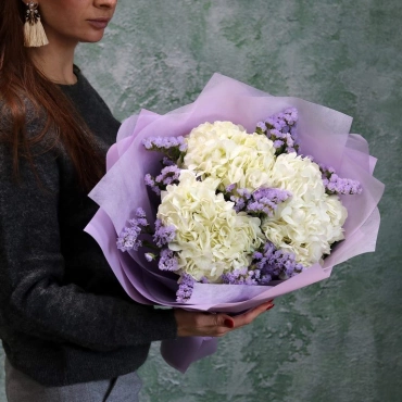 Гортензия и статица