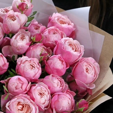 Пионовидные кустовые розы