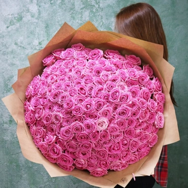 151 розовая роза