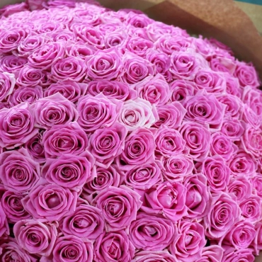 151 розовая роза