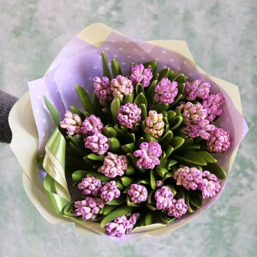 Букет из фиолетовых гиацинтов