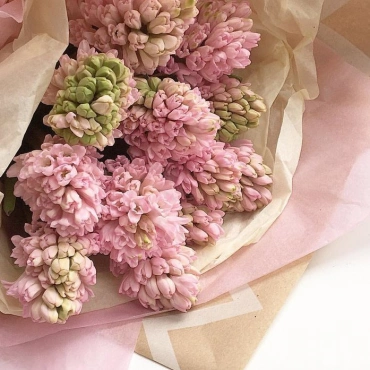 Букет из розовых гиацинтов