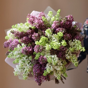 Большой букет из белой и сиреневой сирени