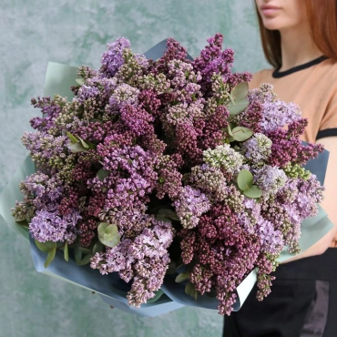 Сирень в ассортименте