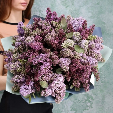 Сирень в ассортименте