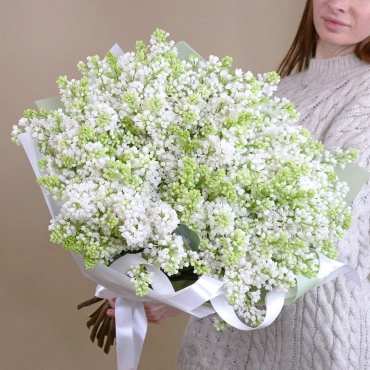 Большой букет белой сирени