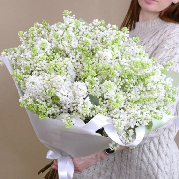 Большой букет белой сирени
